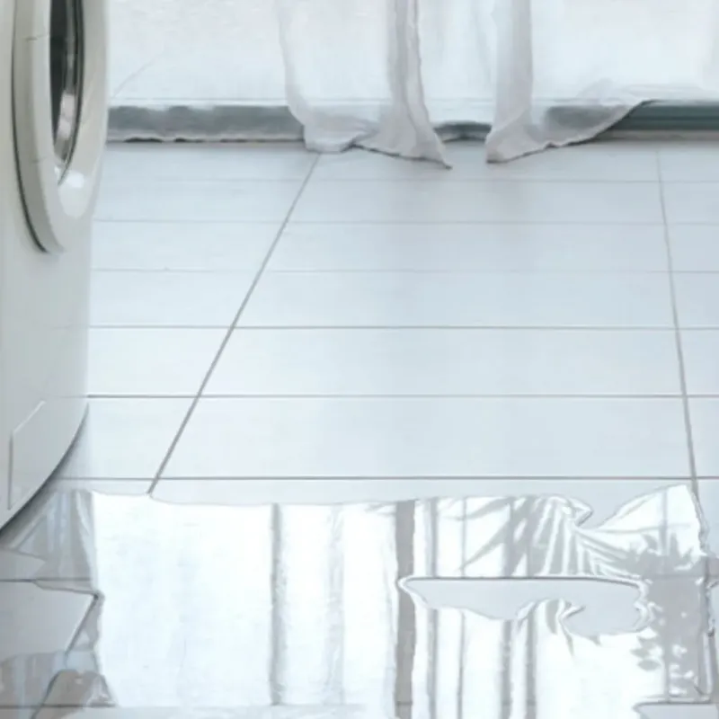 Appliance Leak Cleanup in Round Lake Heights, IL