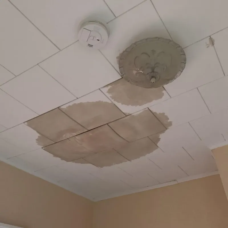 Ceiling Water Damage Repair in Round Lake Heights, IL