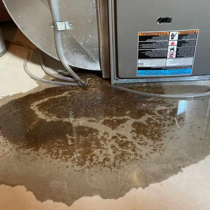 Pipe Burst and Leak Restoration in Round Lake Heights, IL