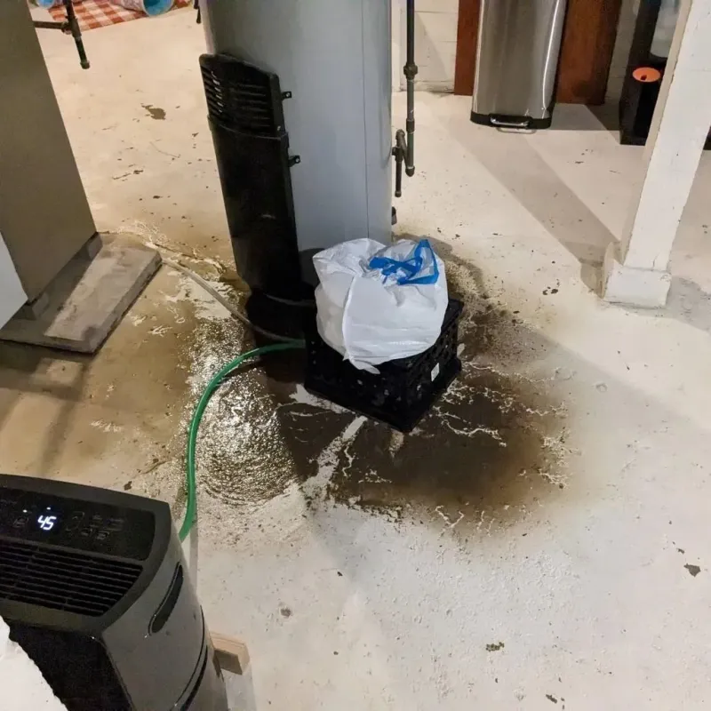 Sewage Backup Cleanup Service in Round Lake Heights, IL